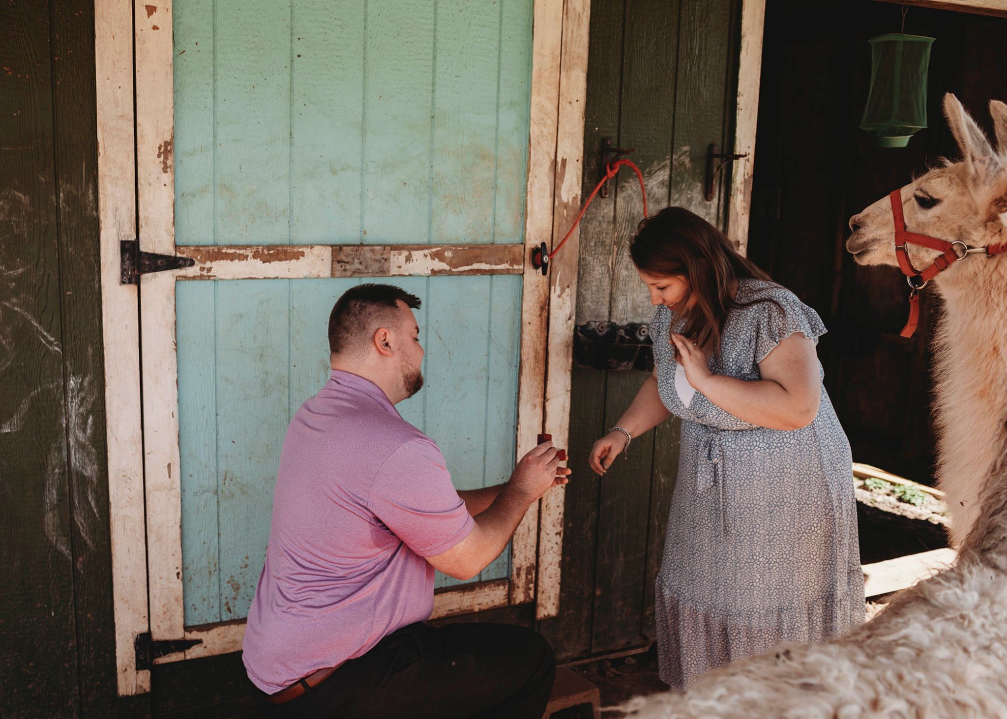 Stefanie Arnette Photography