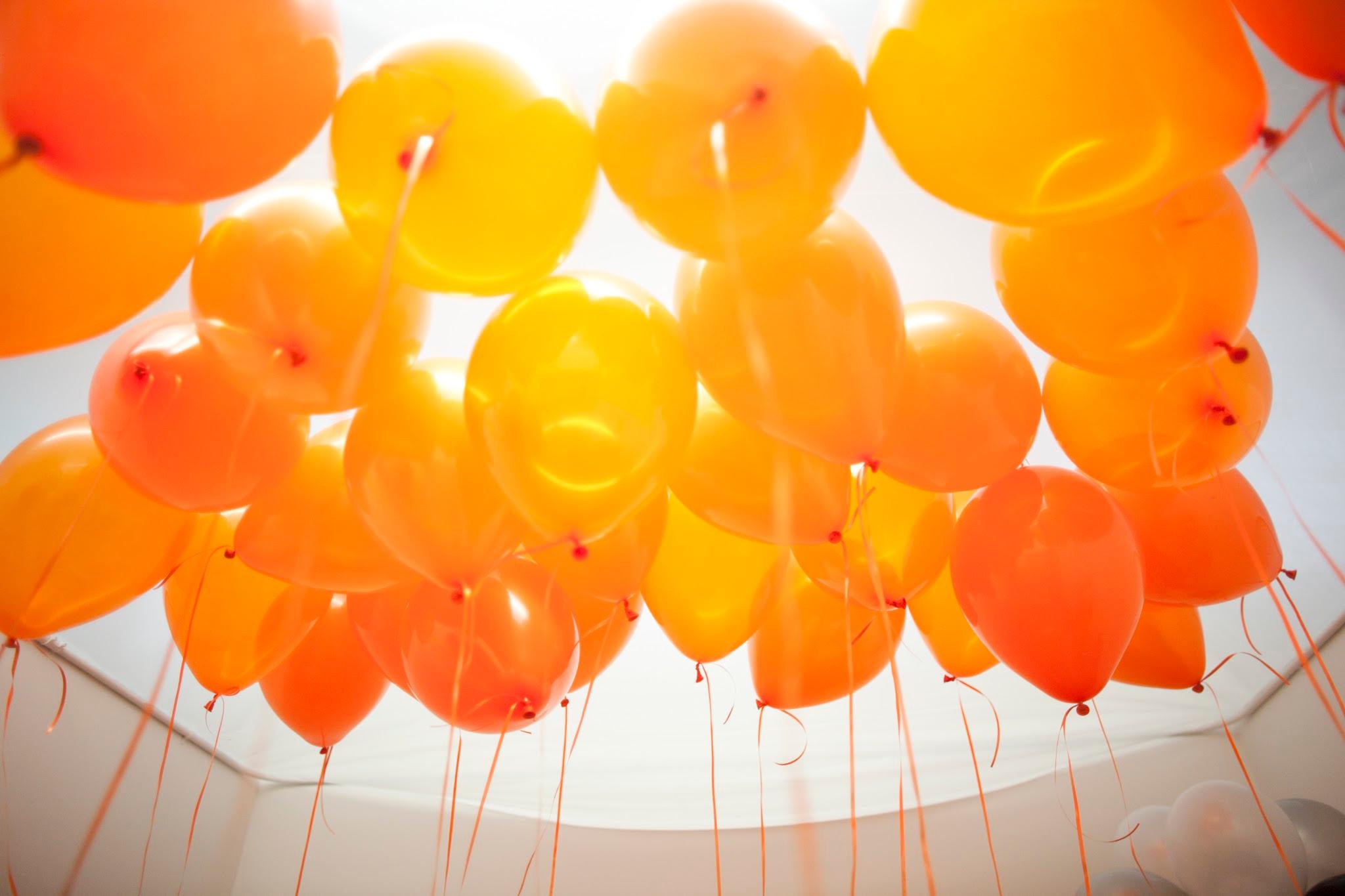 Orange Photography