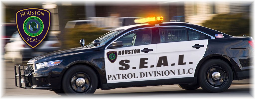 American S.E.A.L. Security Services Patrol Division LLC