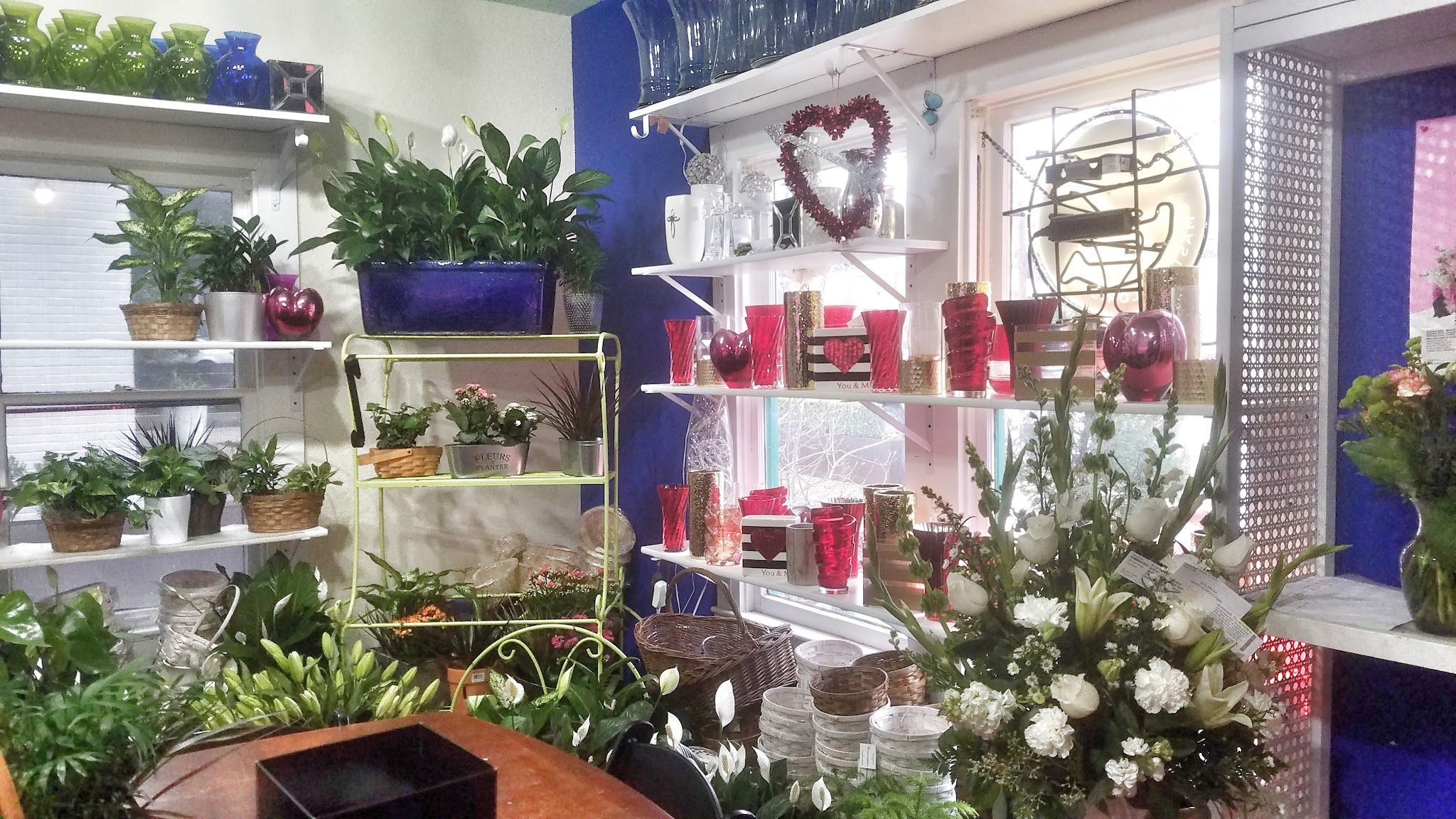 Charlotte's Fiesta Flowers of Austin