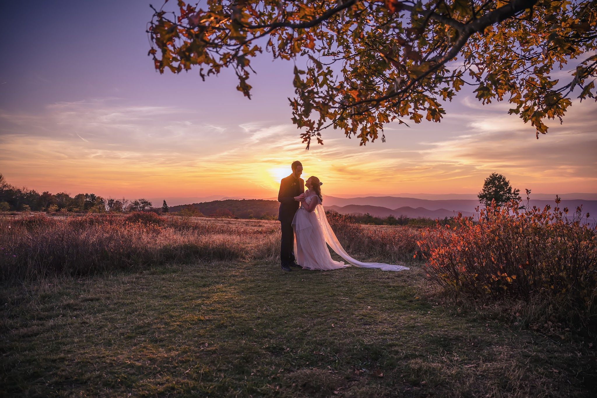 Damon Bowe Photography