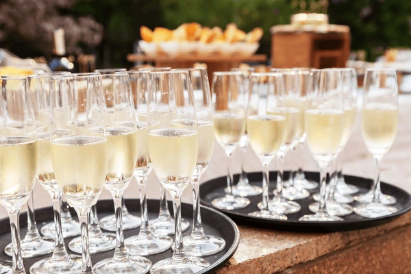 Twist N Sips Mobile Bartending Services