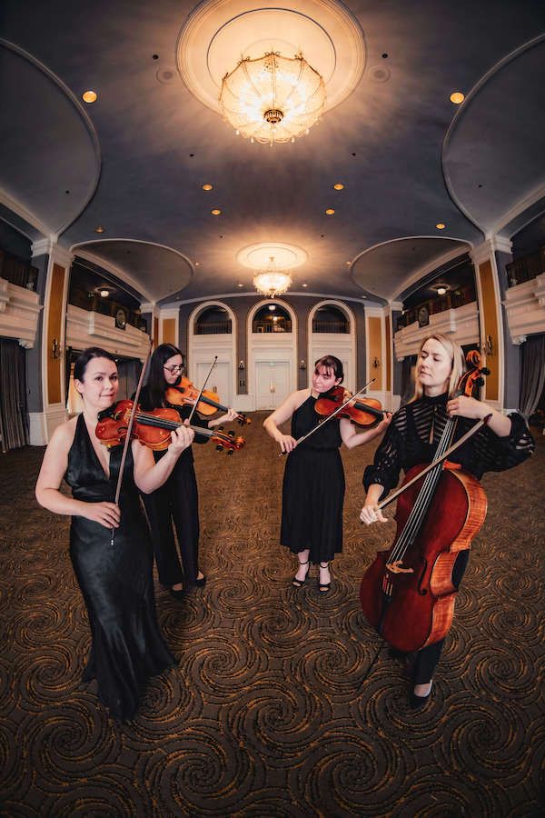 DC Violinist