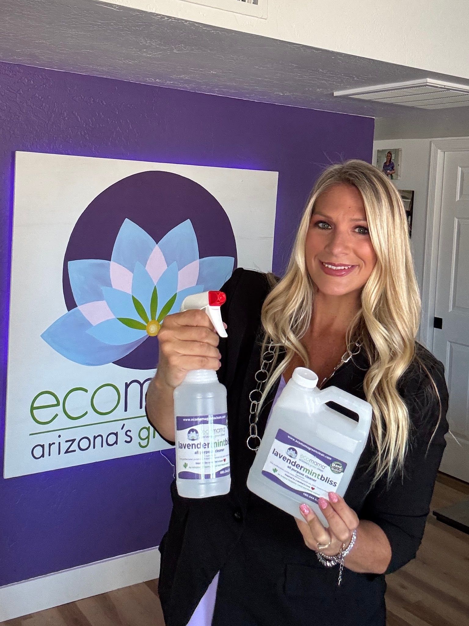 Eco Mama Green House Cleaning of Phoenix