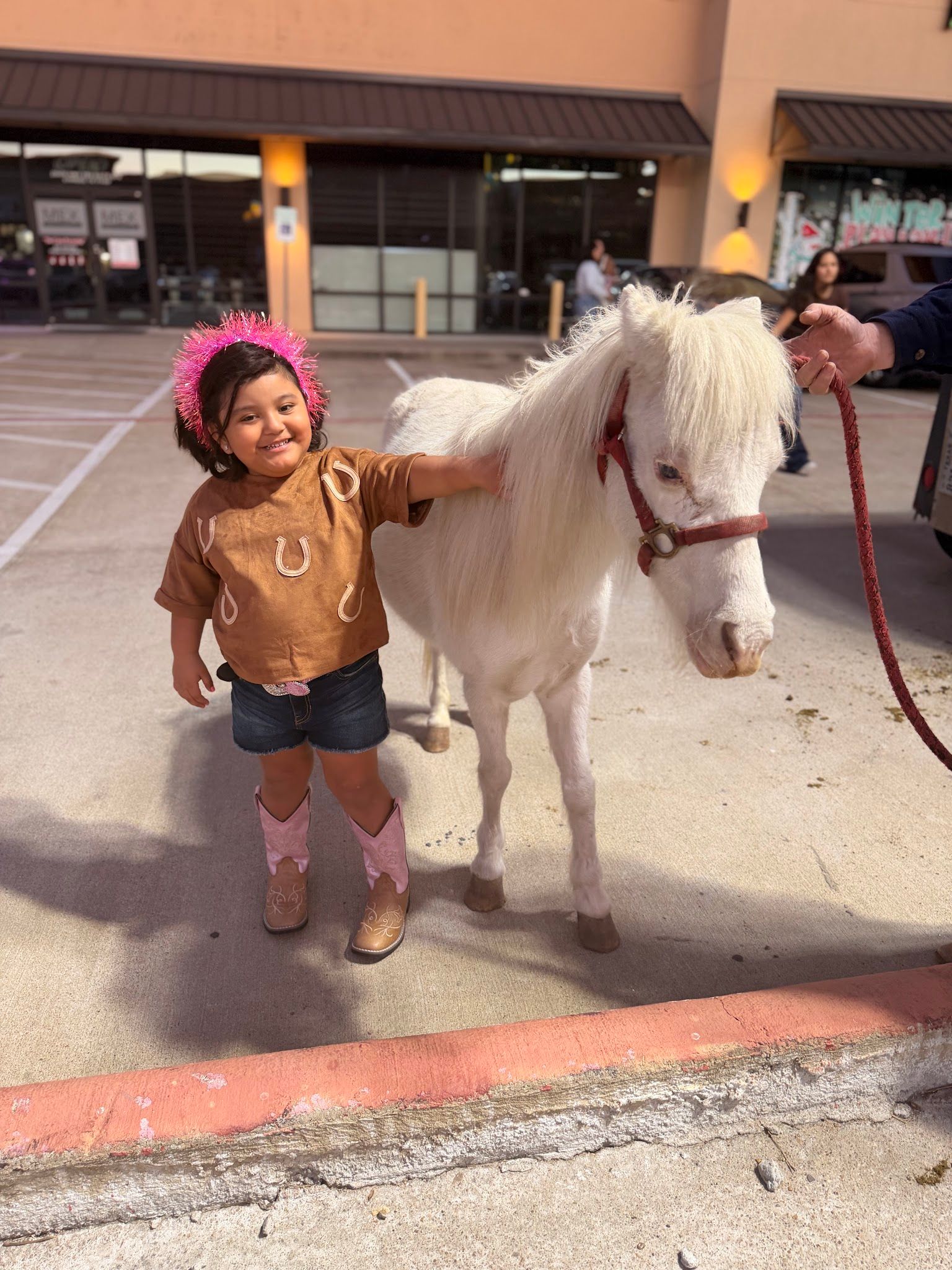 Tabanitos Pony Rentals