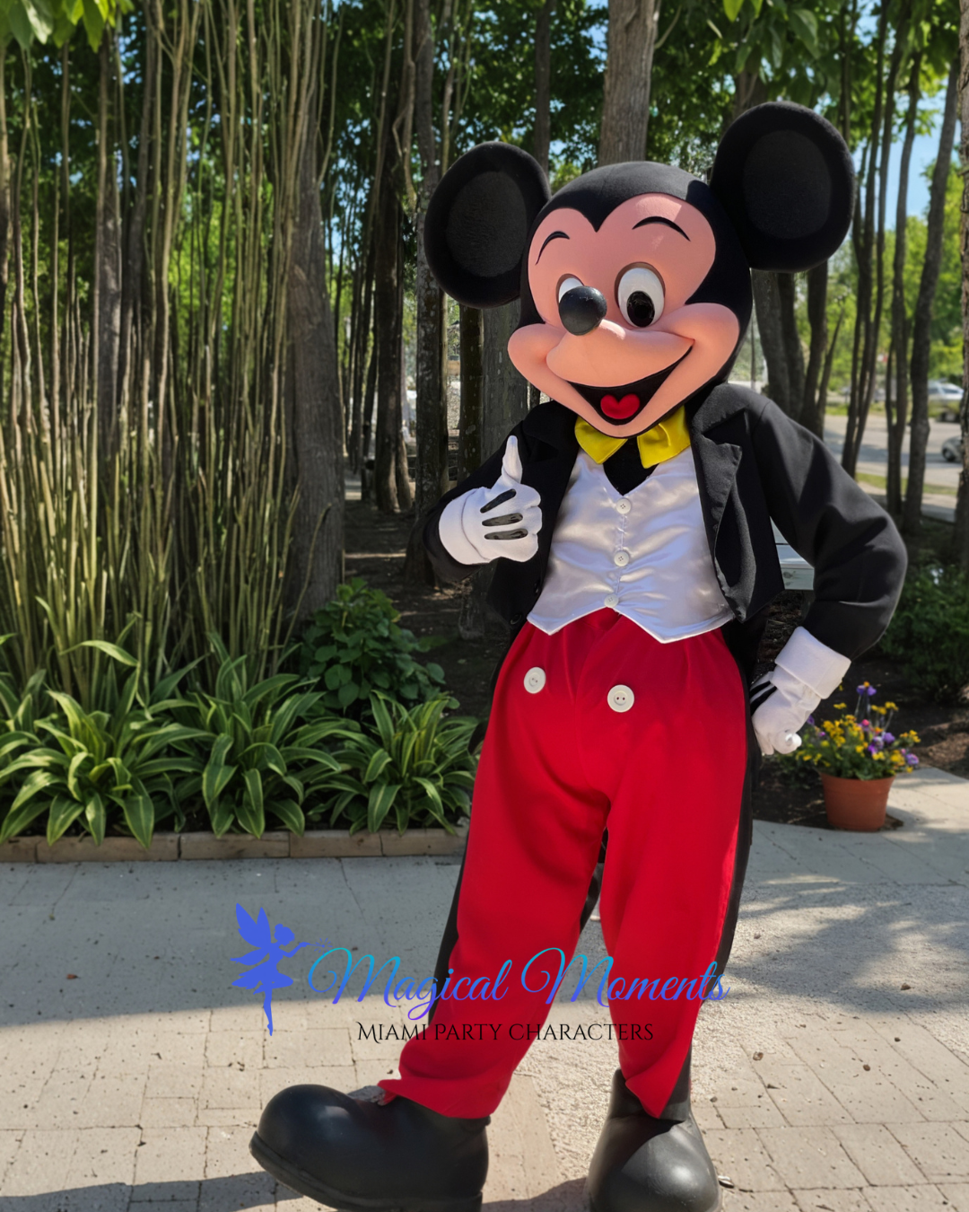 Magical Moments Party Characters