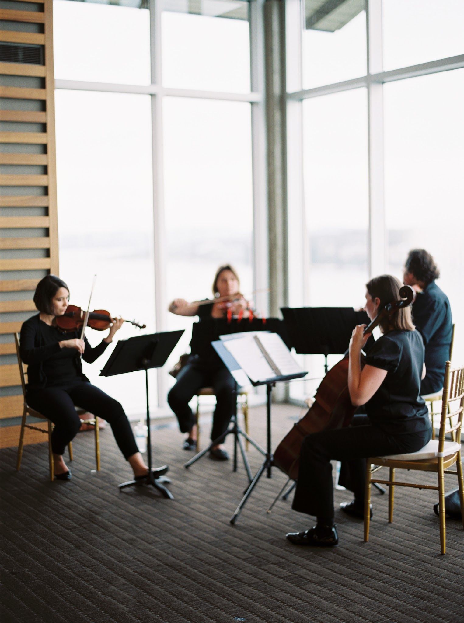 Terra Vista Strings