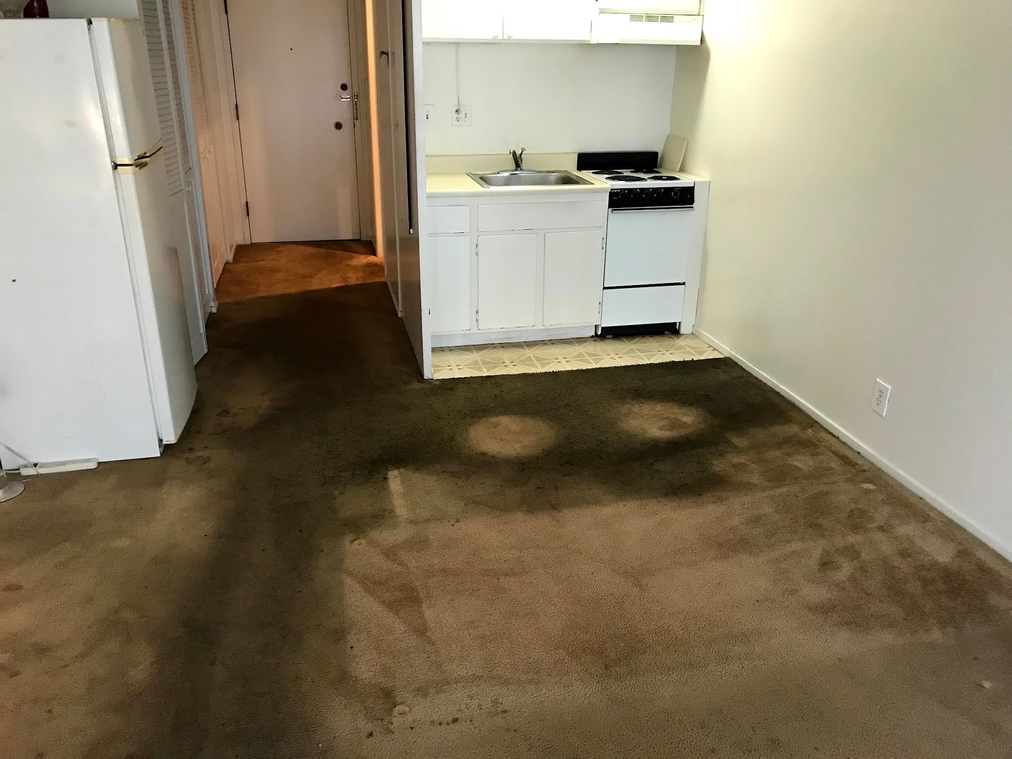 MCS Cleaning Services Inc.