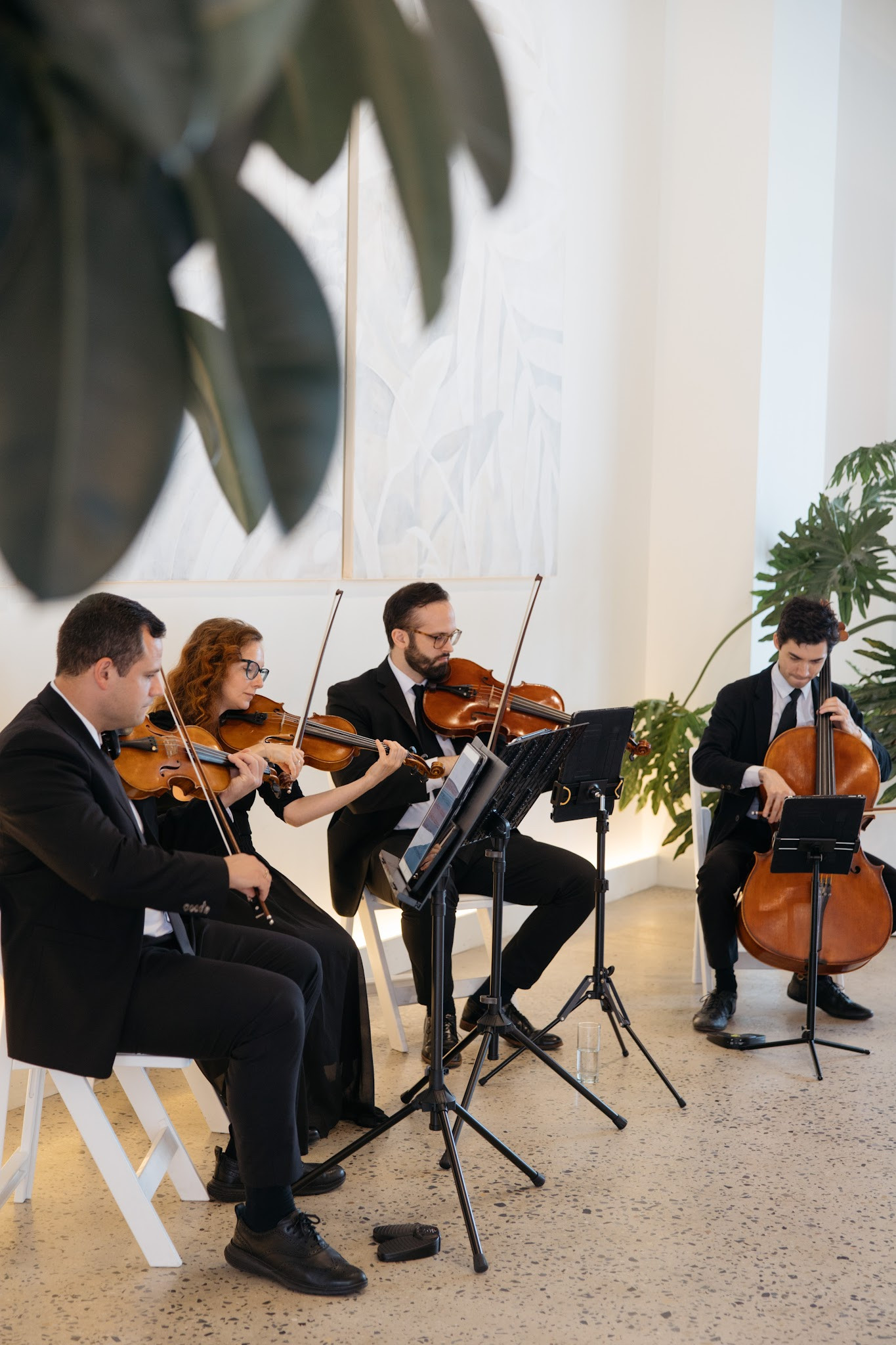 SPN EVENTS - String Quartet | Wedding Bands | Wedding Musicians in NYC