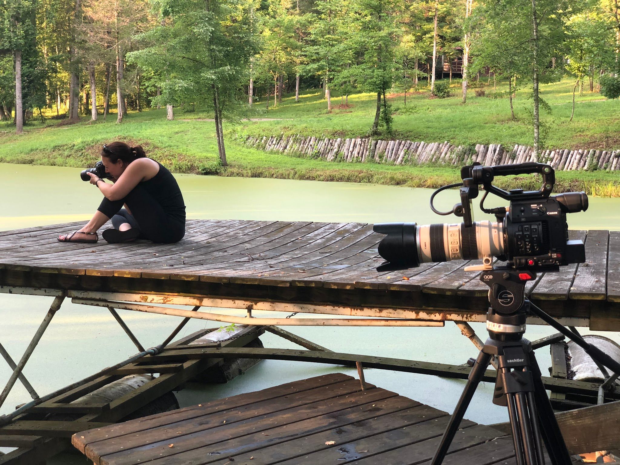 DC Multimedia Productions LLC