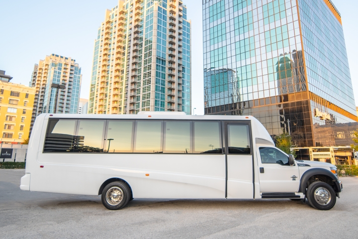 Action Limo
