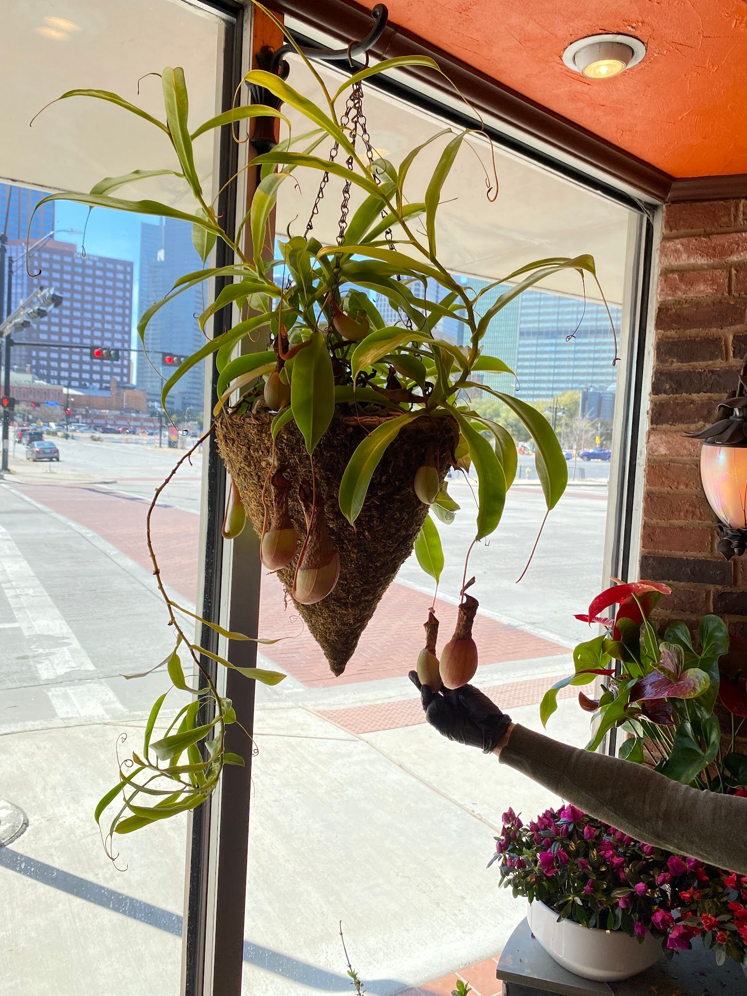 Designs East Florist & Interior