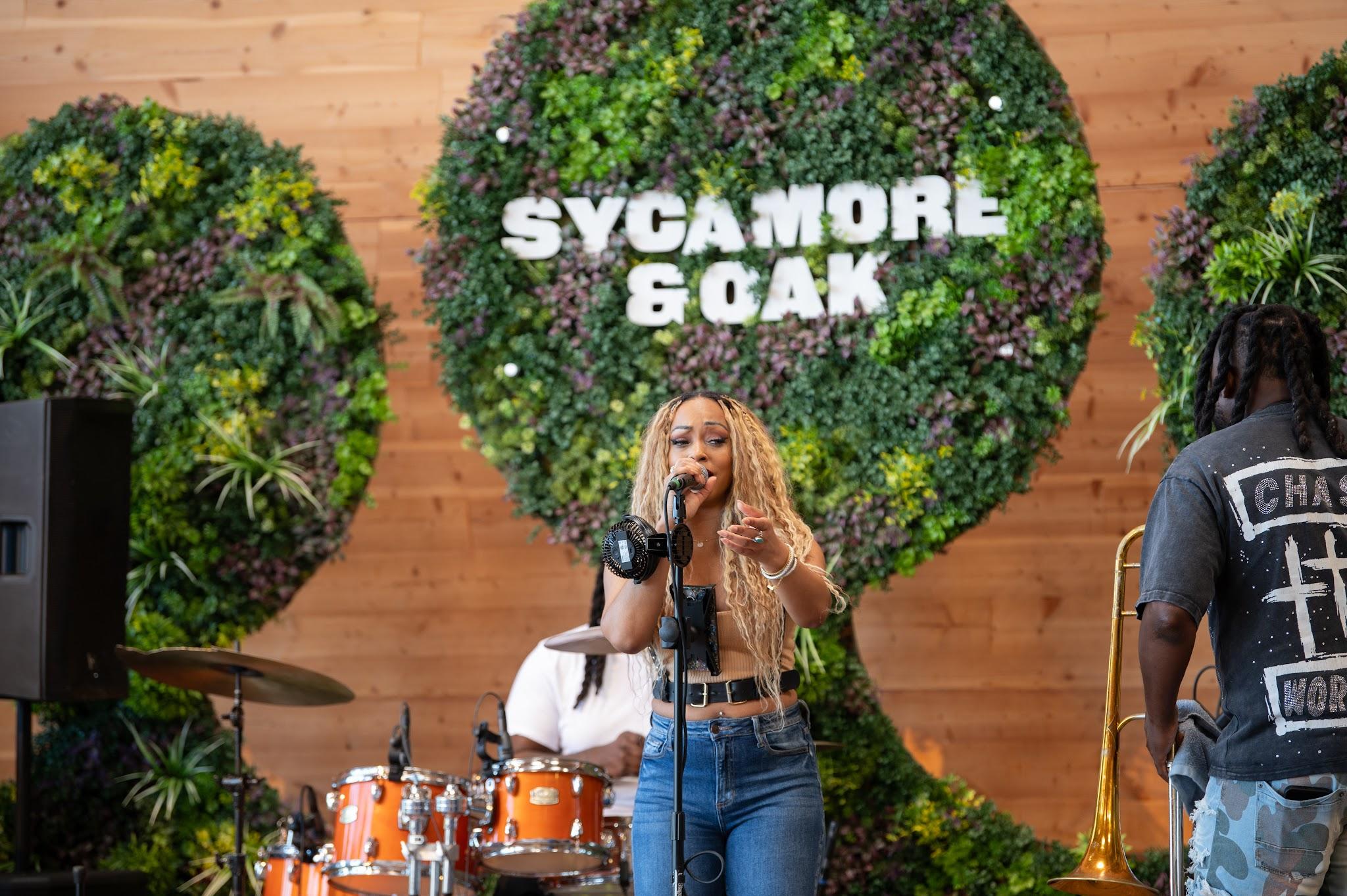 The Experience Band & Show, LLC