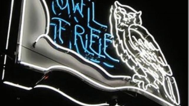 Owl Tree