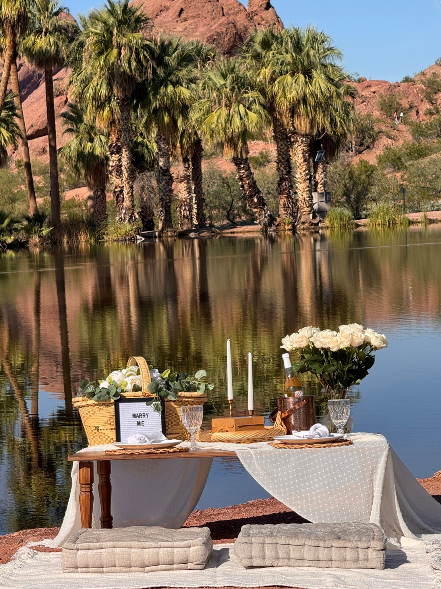Coco Berry Picnics