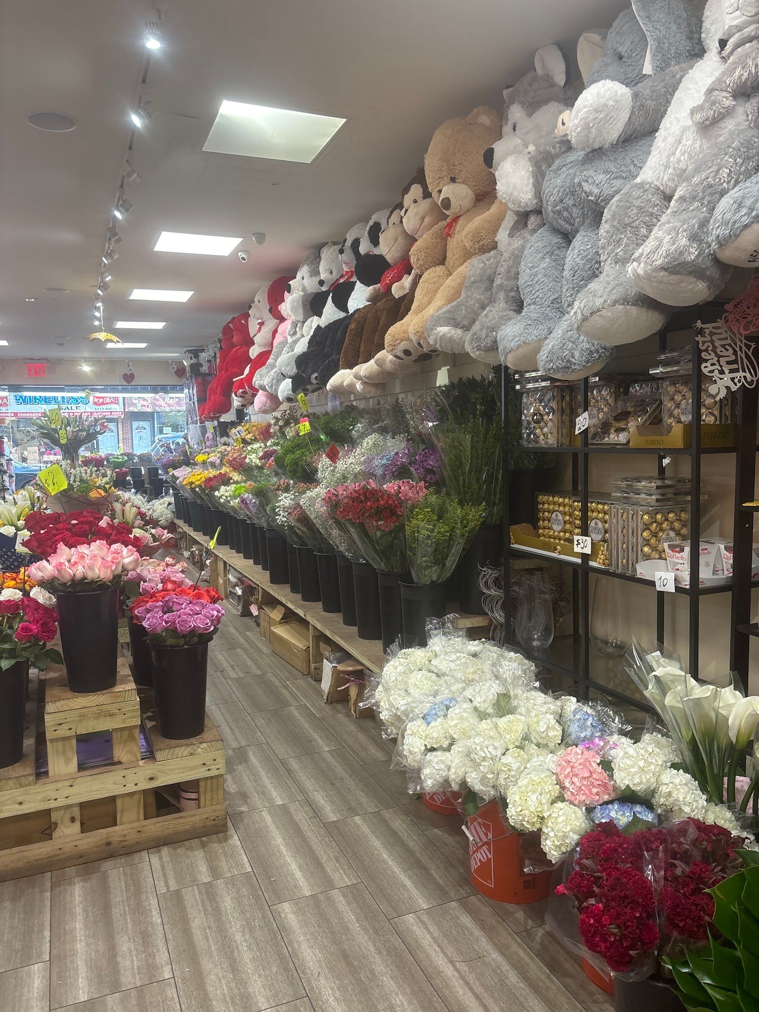Fiori Flowers