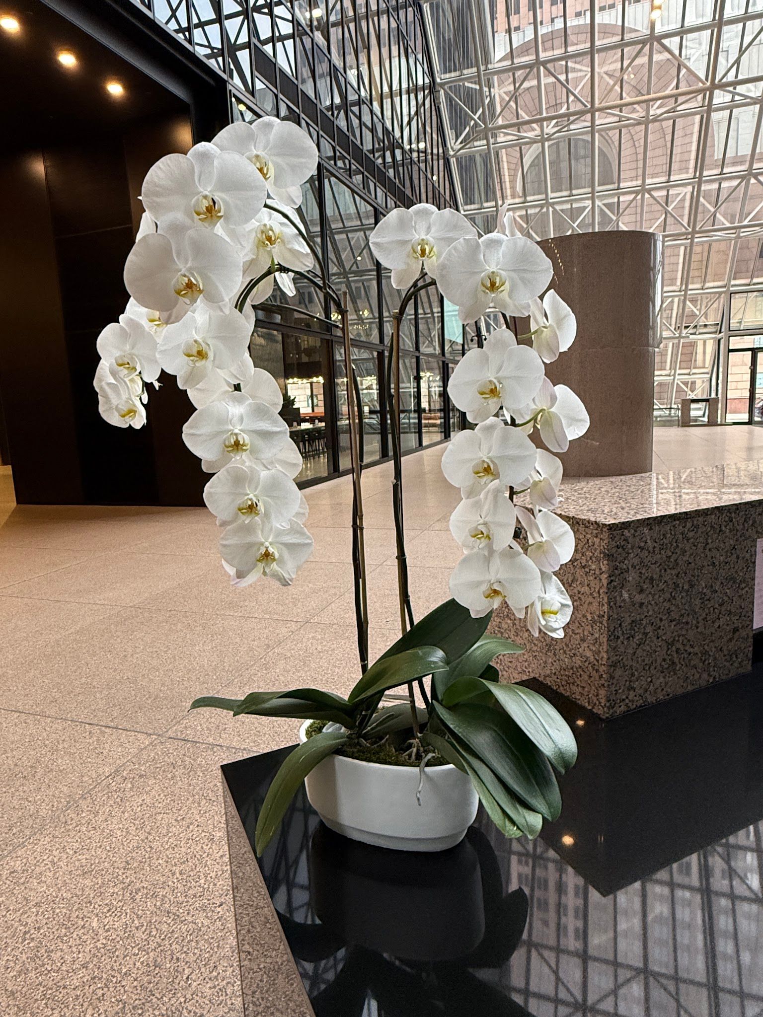 Greenworks Flowers