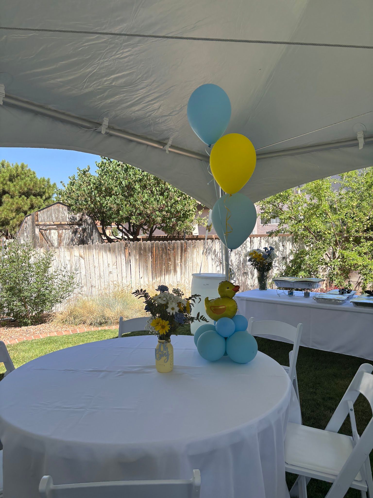 Fiesta Fiesta Rentals