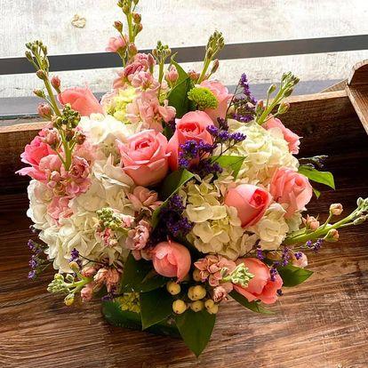 The Orchid Florist
