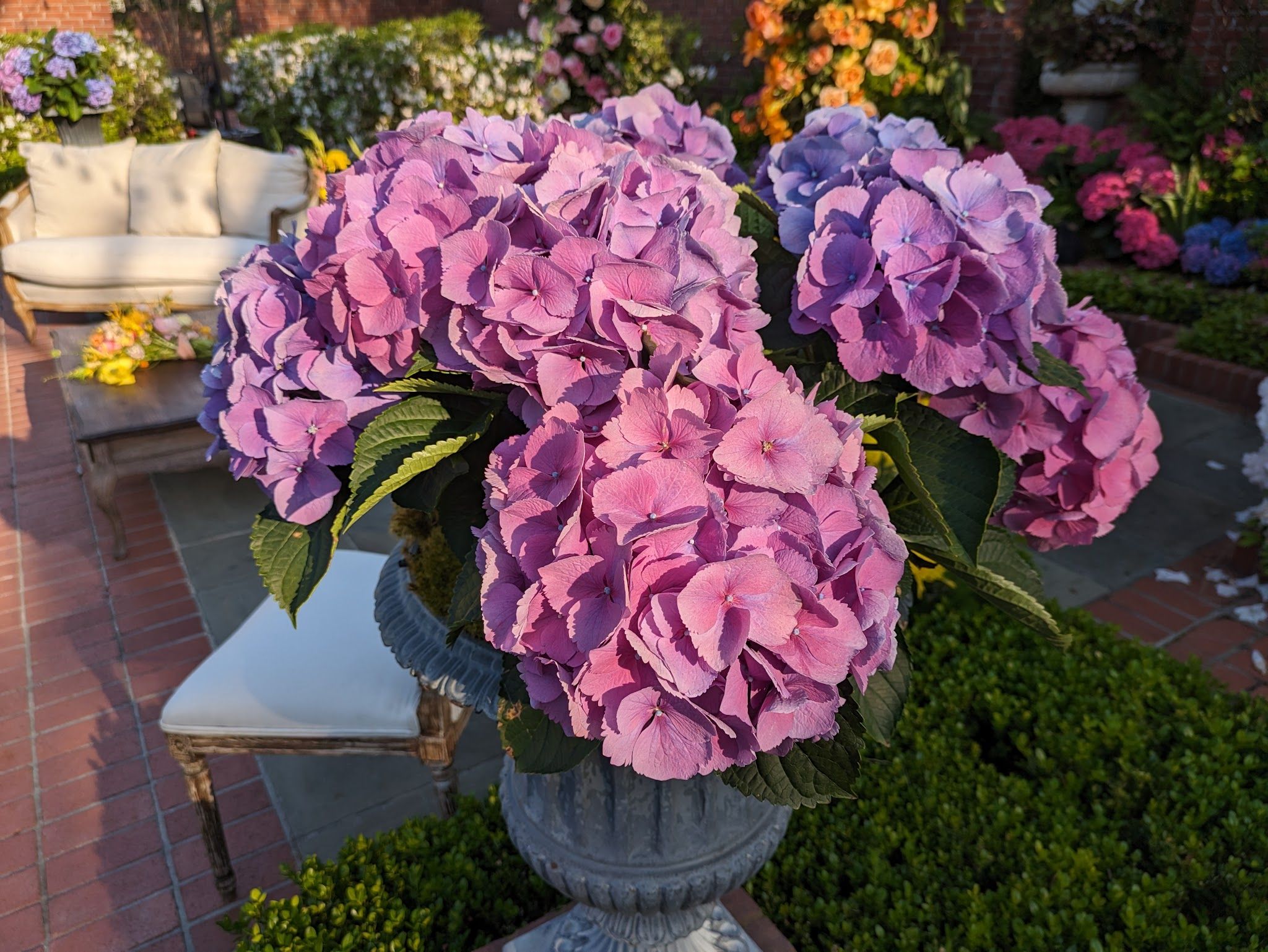 River Oaks Garden Club Forum