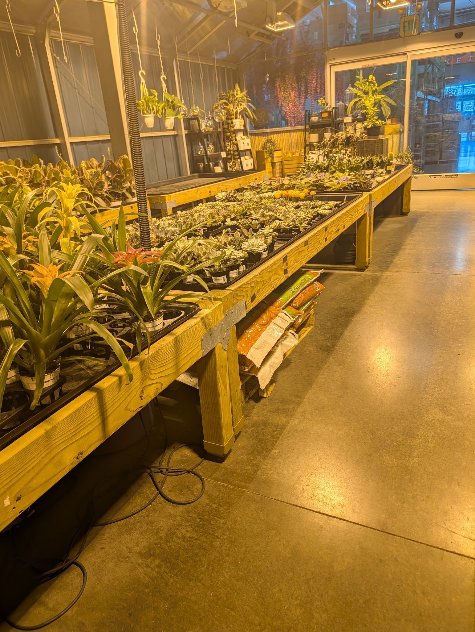Arizona Flower Market