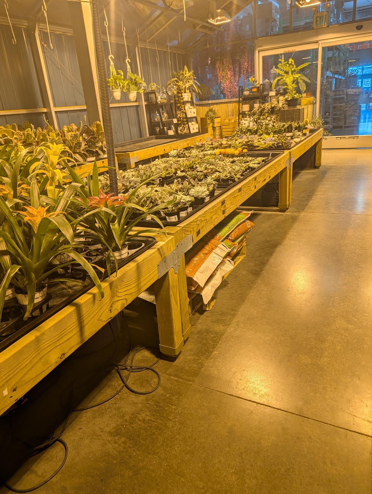 Arizona Flower Market