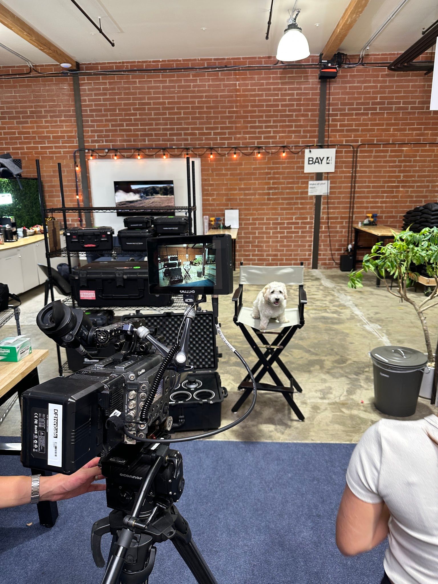 DFI Rentals