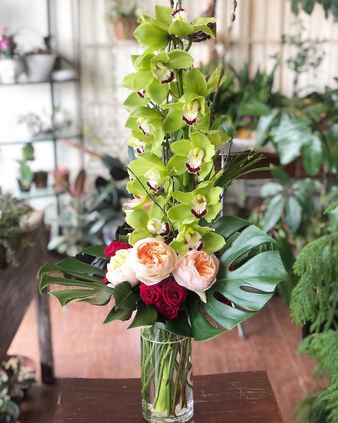 Dallas Flora