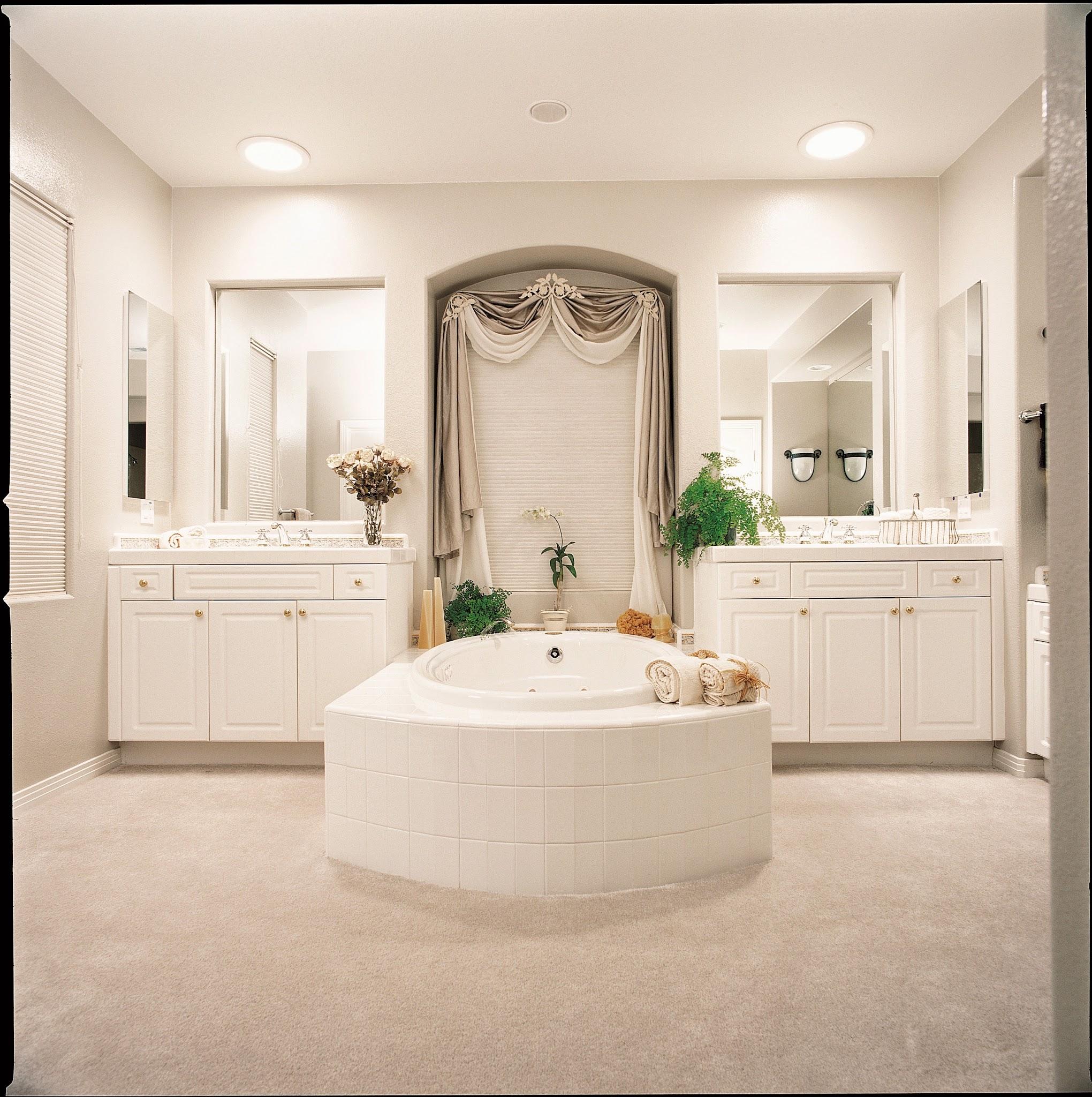 The Natural Lighting Company